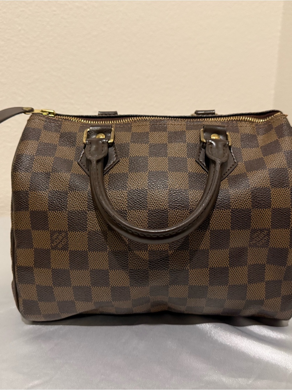 Louis Vuitton Brown Damier Ebene Speedy Tote